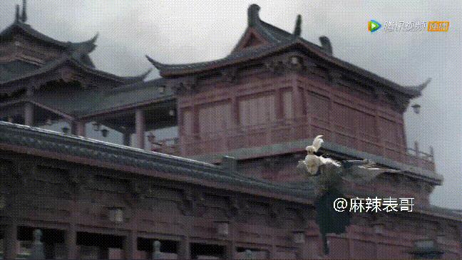 劉宇寧在哪個(gè)平臺(tái)直播火的，劉宇寧在哪個(gè)平臺(tái)直播_