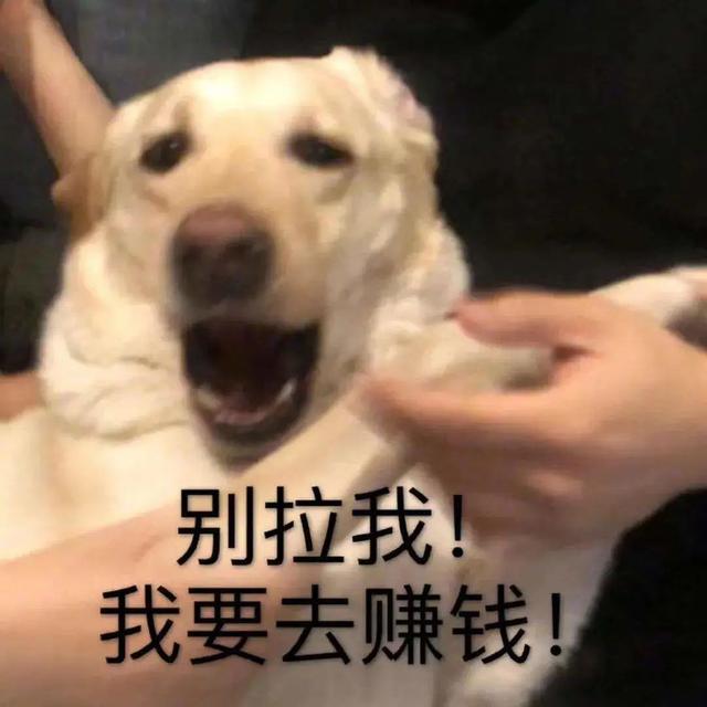 000萬存銀行一年多少利息，500萬存銀行一年多少利息？"