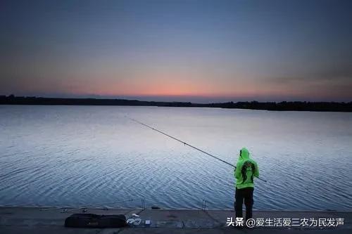 農(nóng)業(yè)致富好項目，農(nóng)村養(yǎng)殖致富？