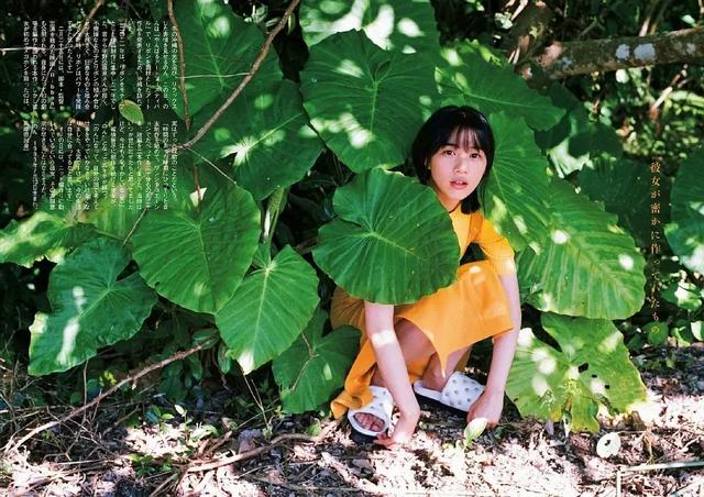 海女電視劇劇情（海女電視劇女主角）