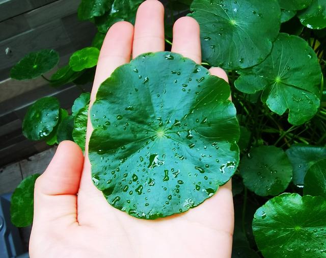 在線快3官方網(wǎng)站（在線快三平臺官網(wǎng)）