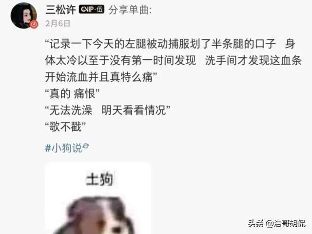 虛擬主播java（java）