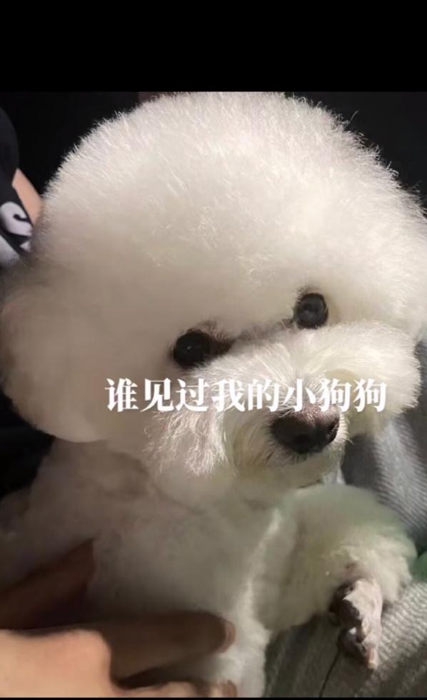 抖音網(wǎng)紅六萬(wàn)一晚，抖音網(wǎng)紅一晚上掙幾十萬(wàn)？