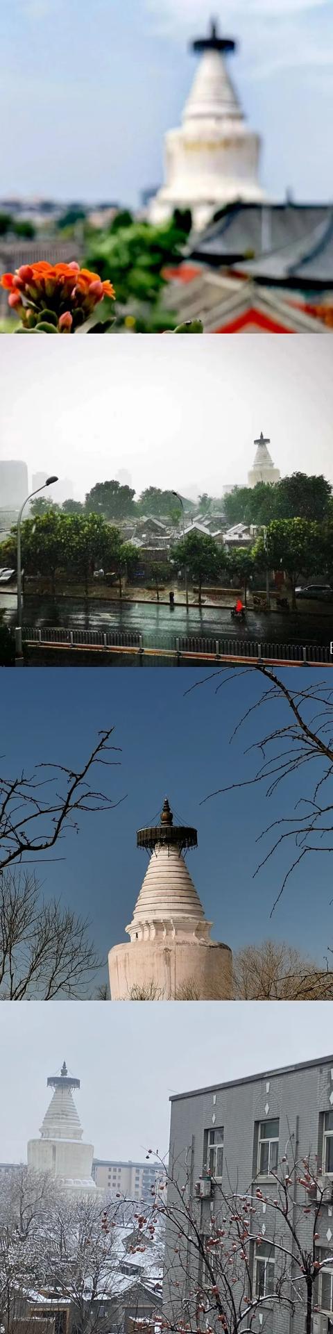 抖音果果，抖音果果媽？