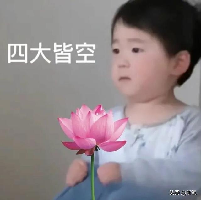 網(wǎng)紅星探直播選秀，帥哥美女紛紛落榜，年度能消除顏值焦慮的素材