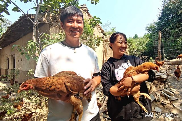 養(yǎng)植什么動(dòng)物最賺錢呢知乎，養(yǎng)植什么動(dòng)物最賺錢呢圖片？