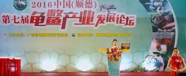 石金錢龜多少錢一斤2018（石金錢龜多少錢一斤2014年）