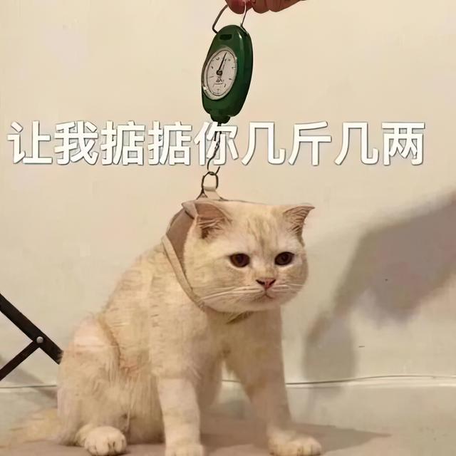 晚上幾點朋友圈關(guān)注人最多_（節(jié)假日幾點發(fā)朋友圈關(guān)注的人多）