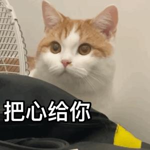 朋友圈銷售技巧和話術(shù)（朋友圈營(yíng)銷注意事項(xiàng)和推廣技巧）