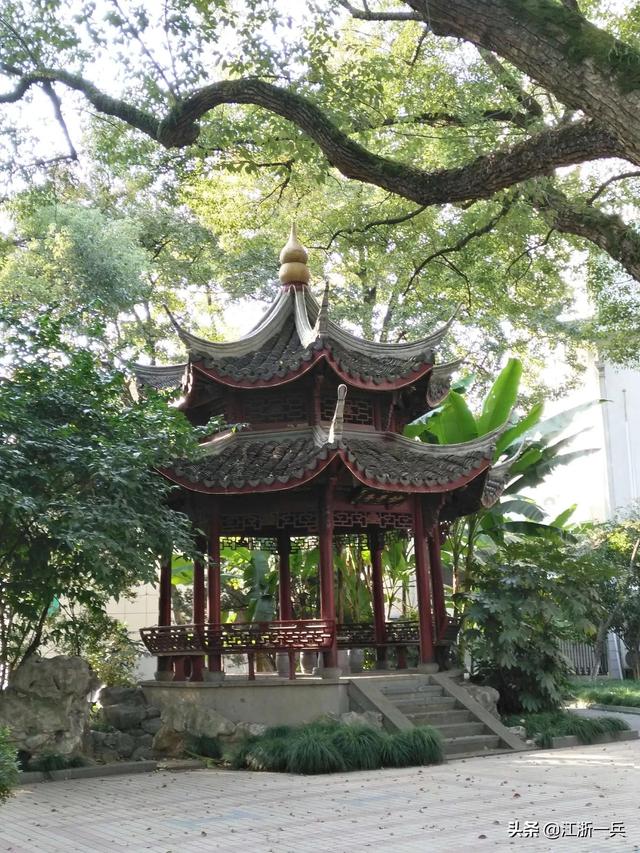 澳龍多少錢一斤市場價(現(xiàn)在澳龍多少錢一斤)
