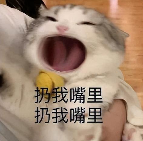視頻審核員在線兼職是真的嗎知乎，線上視頻審核員兼職？