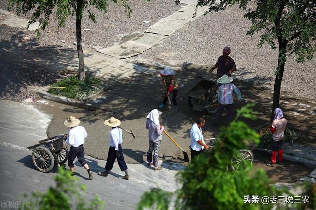 農(nóng)村養(yǎng)殖什么比較好掙錢（在農(nóng)村養(yǎng)殖業(yè)養(yǎng)什么最賺錢）