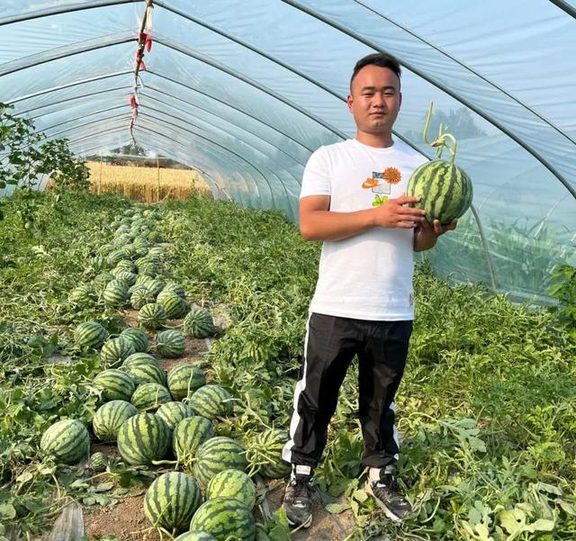 一個人單干暴利項(xiàng)目加微信，一個人單干暴利項(xiàng)目一個人怎么做銷售？