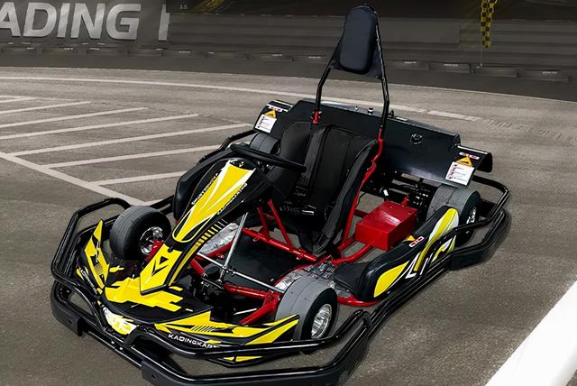 室內(nèi)卡丁車項(xiàng)目投資預(yù)算方案（室內(nèi)卡丁車項(xiàng)目投資預(yù)算書）