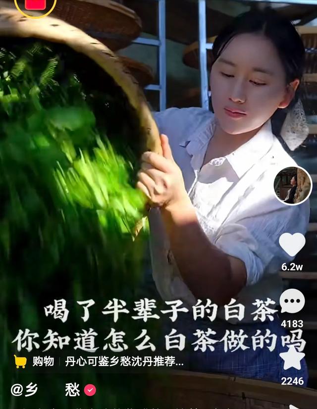 快手100萬(wàn)粉絲一天收入多少（快手一百萬(wàn)粉絲的收入）