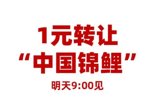 呆呆閱讀app，小呆部落下載？