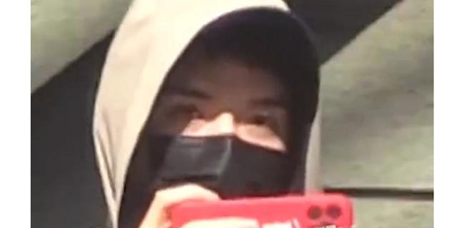 宋亞軒的粉絲是不是叫小海螺，宋亞軒的粉絲為啥叫小海螺？