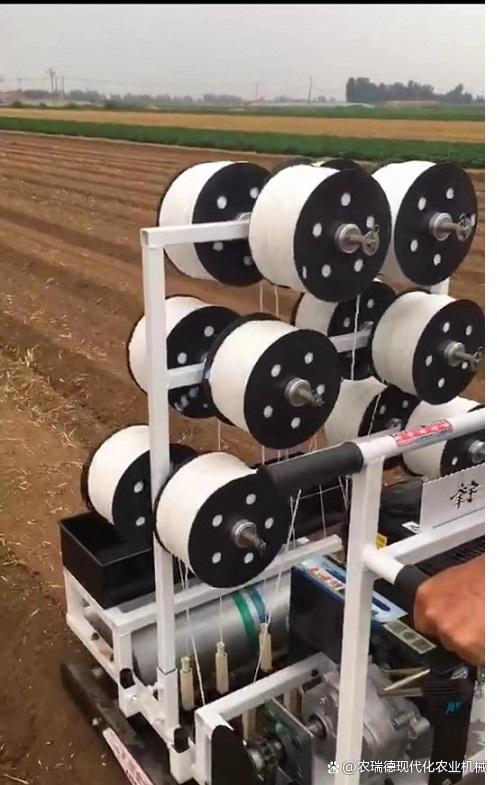 青椒視頻直播下載，青椒視頻直播下載安裝？