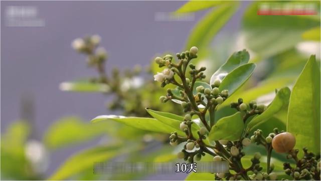 快手素材從哪里找，快手素材庫下載免費(fèi)？