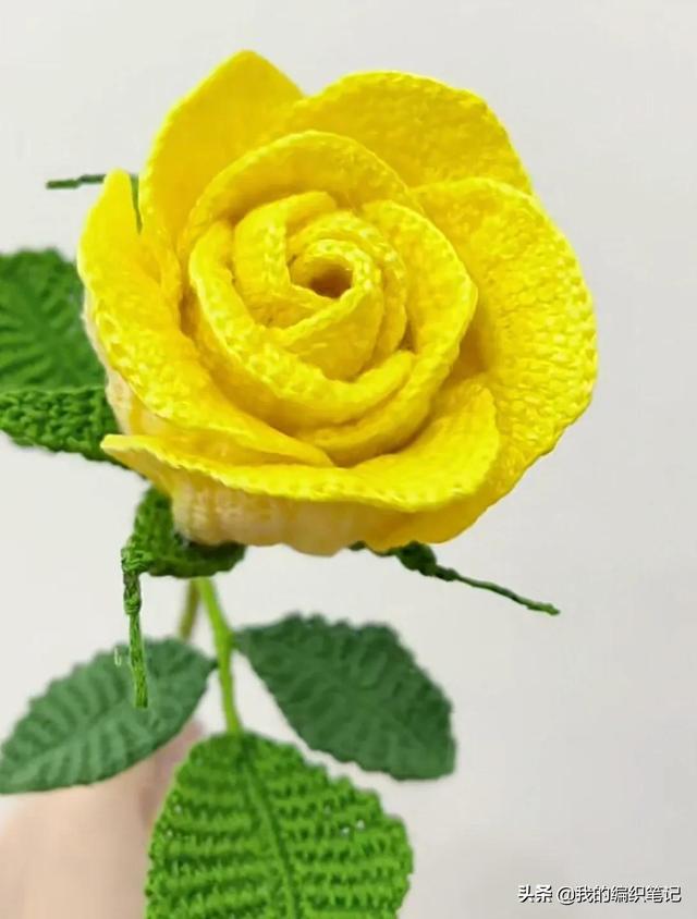 微信玫瑰花擺心形一行十個(gè)，微信玫瑰花擺心形一行9個(gè)？