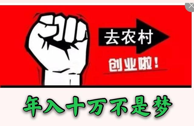 農(nóng)村什么項(xiàng)目好賺錢，現(xiàn)在農(nóng)村干什么掙錢8個(gè)項(xiàng)目推薦？