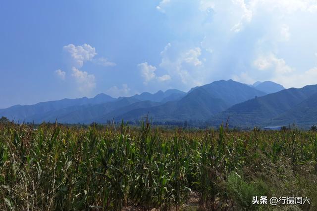 養(yǎng)植什么動(dòng)物最賺錢呢知乎，養(yǎng)植什么動(dòng)物最賺錢呢圖片？