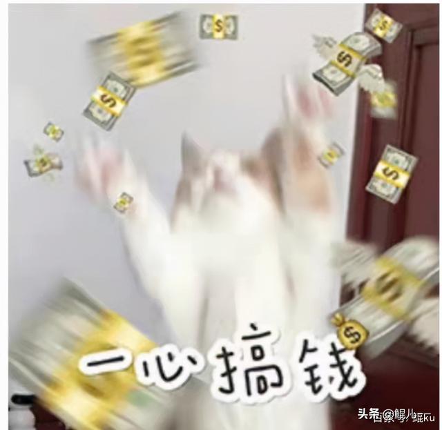 目前做什么小生意賺錢，目前做什么小生意賺錢在地下室里面？