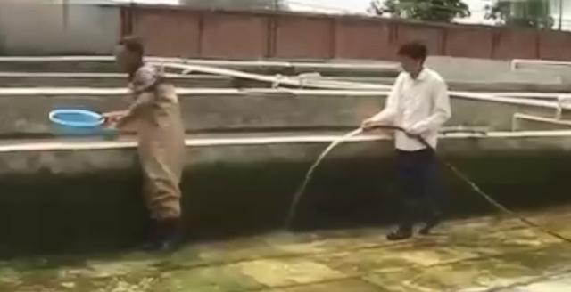 閑魚魚塘在哪里找（2021閑魚魚塘在哪里找）