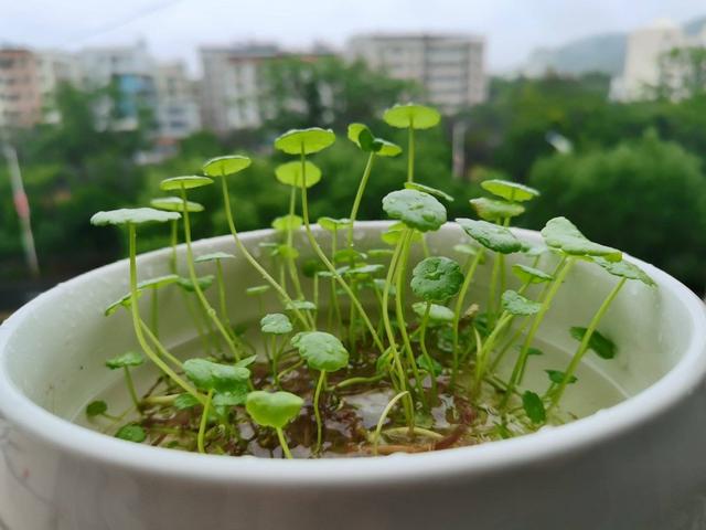在線快3官方網(wǎng)站（在線快三平臺官網(wǎng)）
