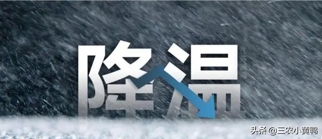 今天的天氣預(yù)報(bào)直播回放視頻，今天的天氣預(yù)報(bào)直播回放視頻下載？
