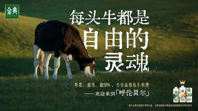 廣告牛南通分公司孫杰，廣告牛南通分公司員工