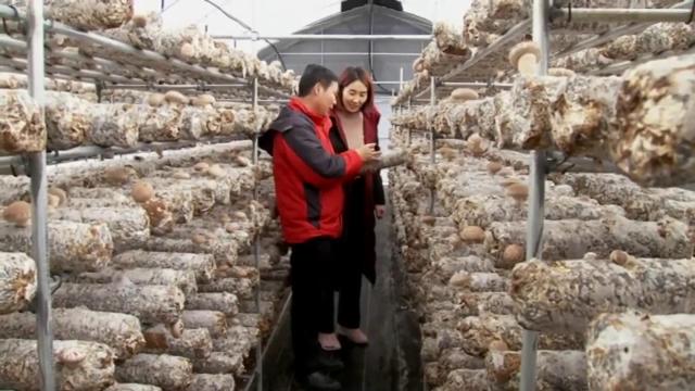 兩萬(wàn)塊錢做什么生意好不影響上班的（兩萬(wàn)塊錢做什么生意好不影響上班的說(shuō)說(shuō)）