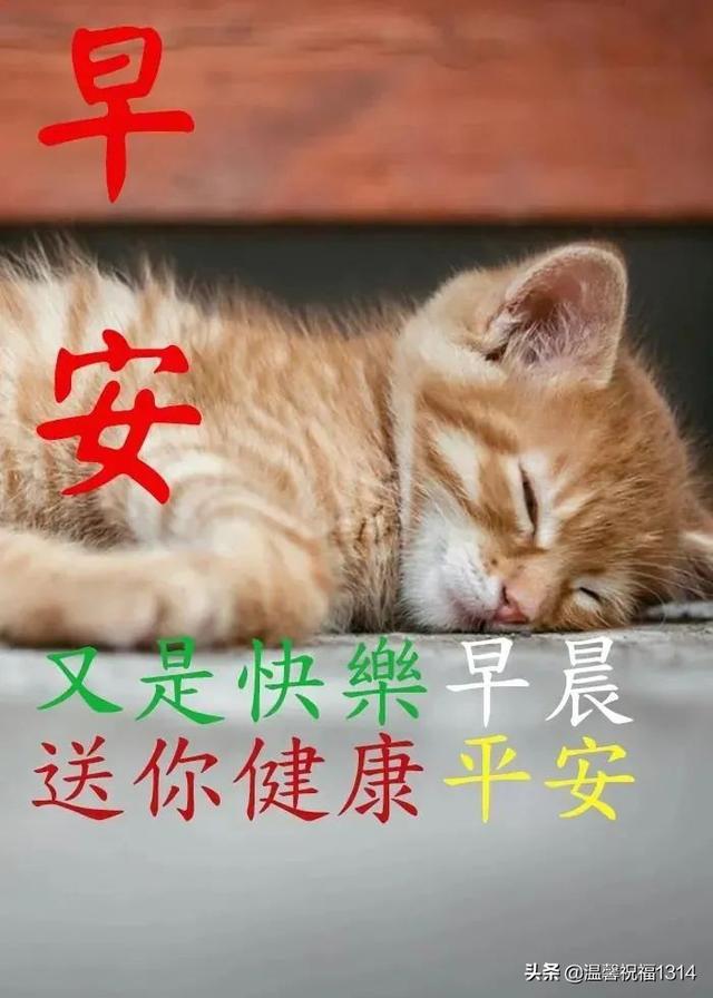 喝早茶的說(shuō)說(shuō)發(fā)朋友圈，喝早茶發(fā)朋友圈的句子簡(jiǎn)短？