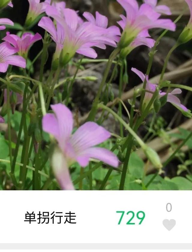 脛骨平臺骨折彎腿90度技巧視頻（脛骨平臺骨折多久膝蓋可以彎曲）
