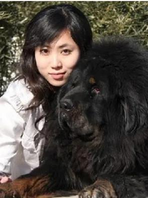 世界最貴藏獒三個(gè)億（世界藏獒最高成交價(jià)）