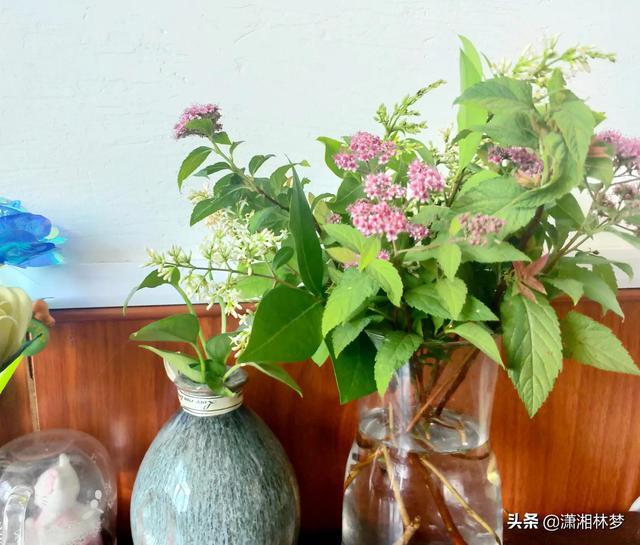 怎樣熱門漲粉絲（快手如何快速漲粉上熱門）