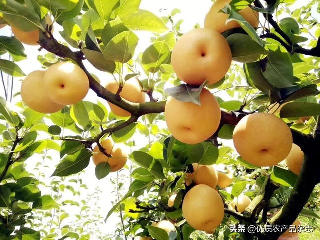 宣傳廣告創(chuàng)意文案怎么寫（廣告文案怎樣寫）