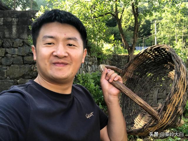 山芋什么時(shí)候傳入中國（山芋何時(shí)傳入我國）