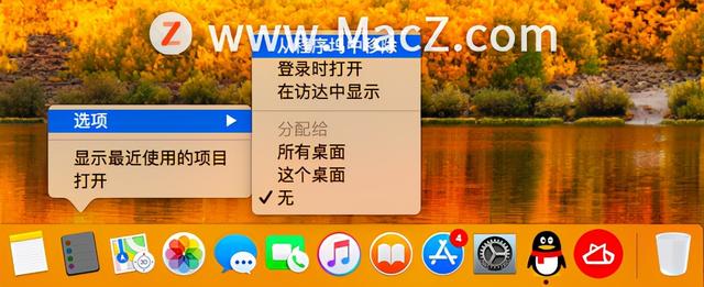 iwatch程序塢是什么意思（蘋果程序塢是什么意思）