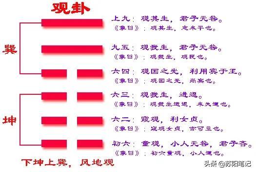 南懷瑾易經(jīng)講解視頻全集（易經(jīng)講解視頻全集曾仕強）