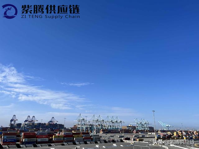 報關(guān)行（報關(guān)行有哪些公司）