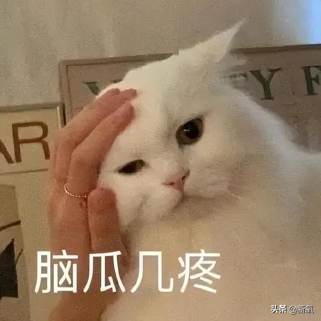 織音app唱歌真的能掙錢(qián)嗎，織音app唱歌賺錢(qián)是真的嗎,收益怎么樣-手賺聯(lián)盟？