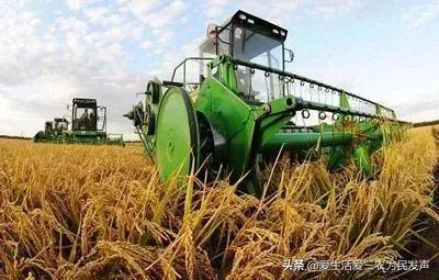 政府補(bǔ)貼項(xiàng)目查詢2020，政府補(bǔ)貼項(xiàng)目查詢2020情況？