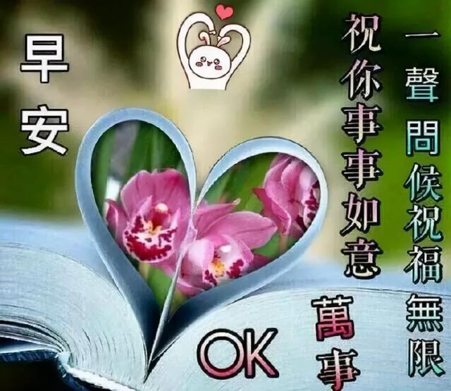 早上好的朋友圈說說正能量，早上好的朋友圈說說正能量帶圖片？
