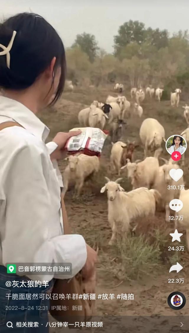 抖音漲粉個人簡介，抖音容易漲粉的個人介紹？