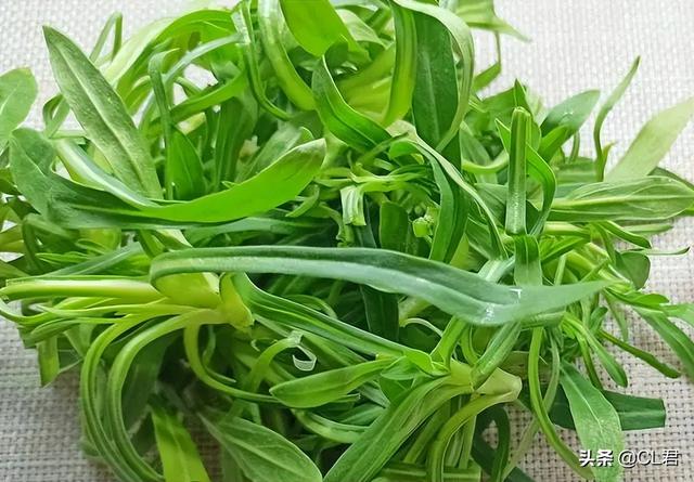 鄉(xiāng)下種植什么最賺錢(qián)又省事，鄉(xiāng)下種植什么最賺錢(qián)又省事兒？