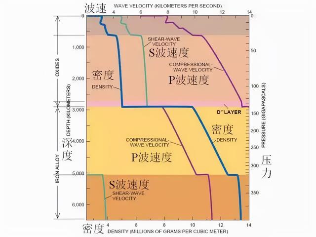 學(xué)校體檢是做哪些項(xiàng)目，學(xué)校體檢都做什么？