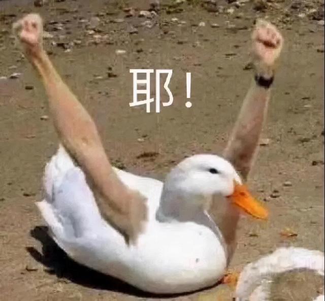 qksp.αpp二維碼，qkspapp二維碼？