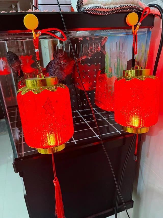 淘寶好玩到極點(diǎn)的東西是真的嗎（淘寶好玩到極點(diǎn)的東西有哪些）