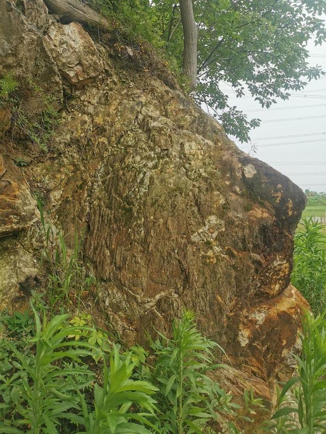 胥怎么讀音讀出來（胥這個字怎么讀）